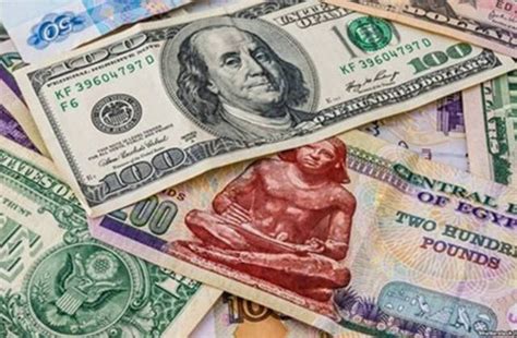 20usd to egp|20 USD to EGP .